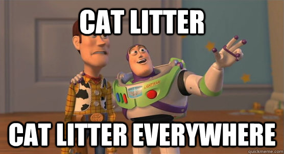 cat litter cat litter everywhere  Toy Story Everywhere