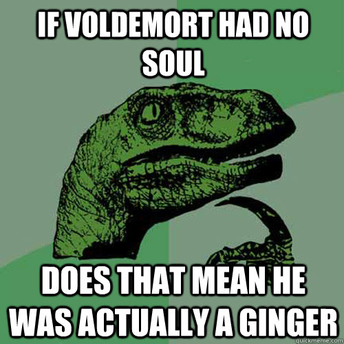 If Voldemort had no soul does that mean he was actually a ginger  Philosoraptor