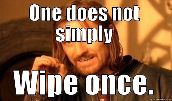 one does - ONE DOES NOT SIMPLY WIPE ONCE. Boromir