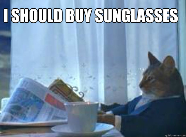 I Should buy sunglasses   I should buy a boat cat