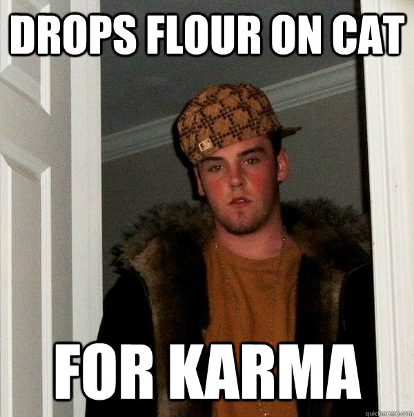 drops flour on cat for karma  Scumbag Steve