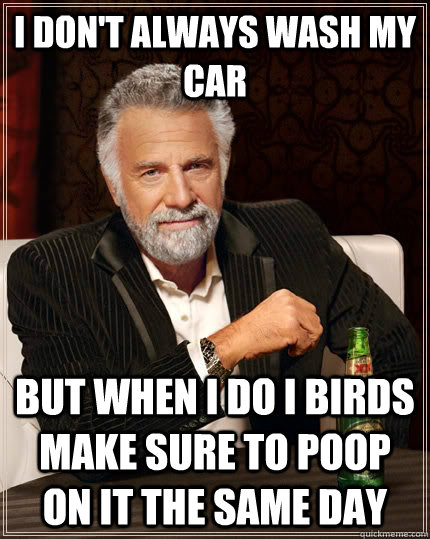 I don't always wash my car but when I do I birds make sure to poop on it the same day  The Most Interesting Man In The World