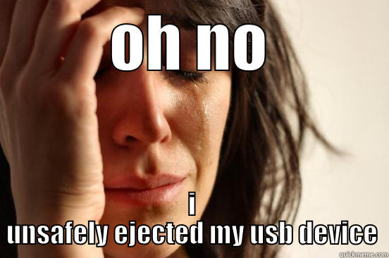 OH NO I UNSAFELY EJECTED MY USB DEVICE First World Problems