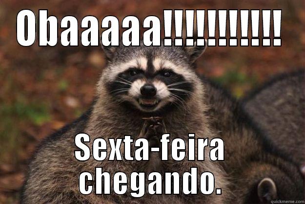 OBAAAAA!!!!!!!!!!! SEXTA-FEIRA CHEGANDO. Evil Plotting Raccoon