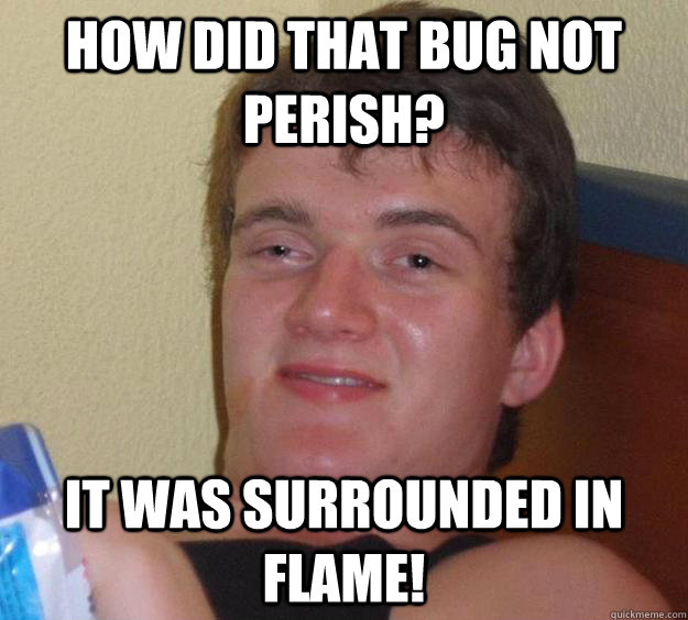 How did that bug not perish? it was surrounded in flame!  10 Guy