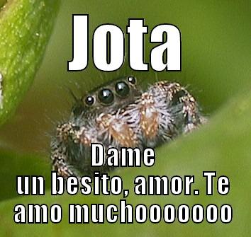 Jota kiss -  JOTA DAME UN BESITO, AMOR. TE AMO MUCHOOOOOOO Misunderstood Spider