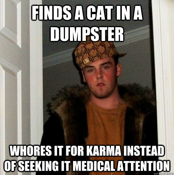 Finds a cat in a dumpster whores it for karma instead of seeking it medical attention  Scumbag Steve