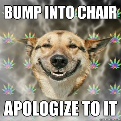 Bump into Chair Apologize to it  Stoner Dog