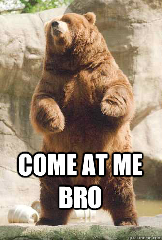 come at me bro - come at me bro  bear