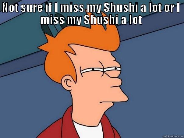 NOT SURE IF I MISS MY SHUSHI A LOT OR I MISS MY SHUSHI A LOT  Futurama Fry