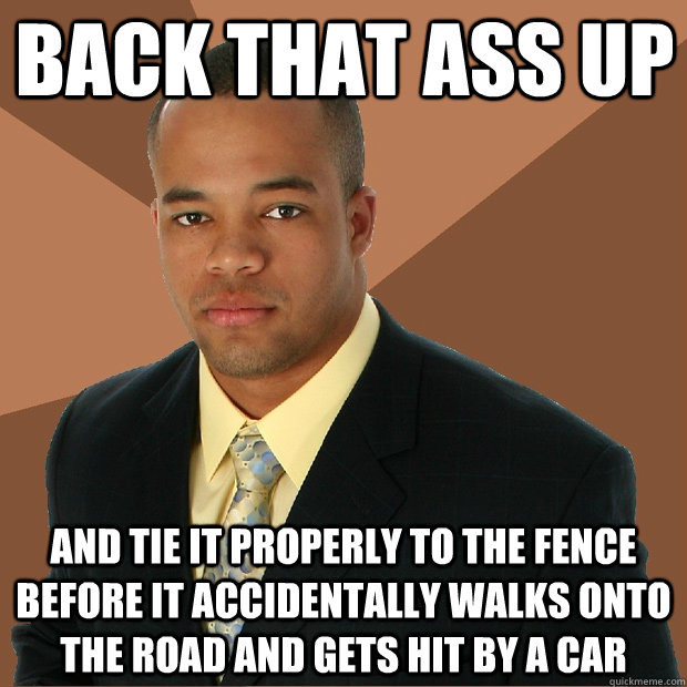 Back that ass up and tie it properly to the fence before it accidentally walks onto the road and gets hit by a car  Successful Black Man