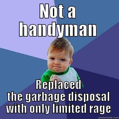 NOT A HANDYMAN REPLACED THE GARBAGE DISPOSAL WITH ONLY LIMITED RAGE Success Kid