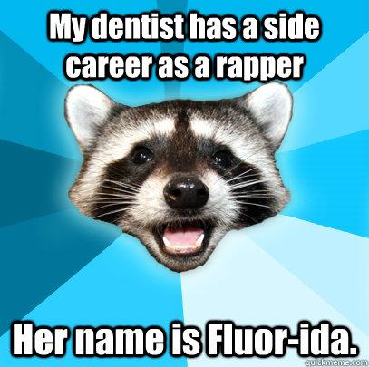 My dentist has a side career as a rapper Her name is Fluor-ida. - My dentist has a side career as a rapper Her name is Fluor-ida.  Lame Pun Coon