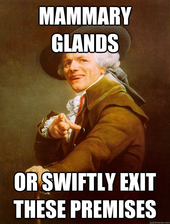 Mammary glands Or swiftly exit these premises  Joseph Ducreux