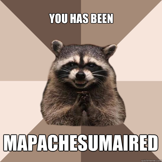 You has been MAPACHESUMAIRED  Evil Plotting Raccoon