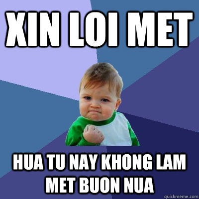 Xin loi met Hua tu nay khong lam met buon nua  Success Kid