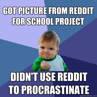 Got picture from Reddit for school project didn't use reddit to procrastinate  Success Baby