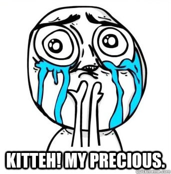  Kitteh! My precious.  Crying meme