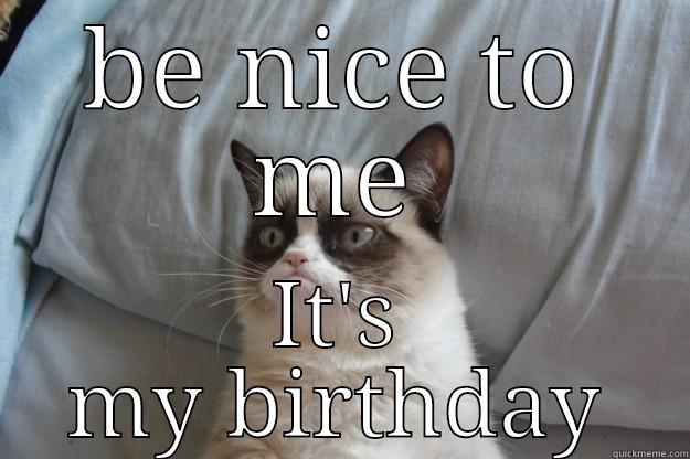 BE NICE TO ME IT'S MY BIRTHDAY Grumpy Cat