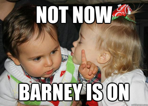 not now  barney is on - not now  barney is on  Toddlers Priorities