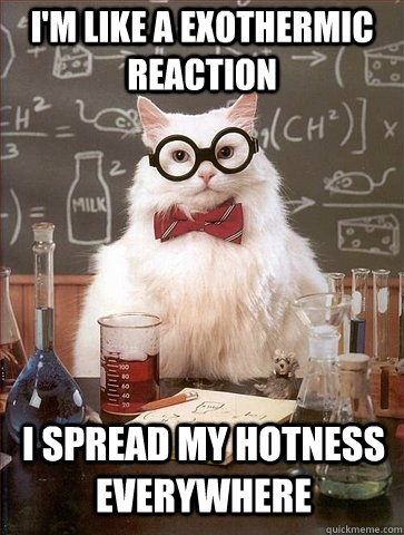 I'M LIKE A EXOTHERMIC REACTION I SPREAD MY HOTNESS EVERYWHERE - I'M LIKE A EXOTHERMIC REACTION I SPREAD MY HOTNESS EVERYWHERE  Chemistry Cat