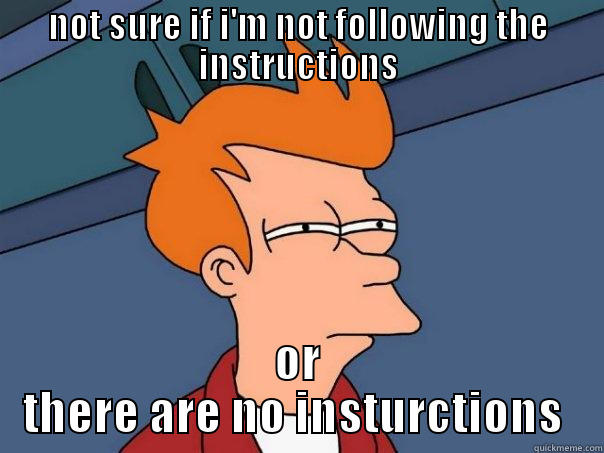 NOT SURE IF I'M NOT FOLLOWING THE INSTRUCTIONS OR THERE ARE NO INSTURCTIONS  Futurama Fry