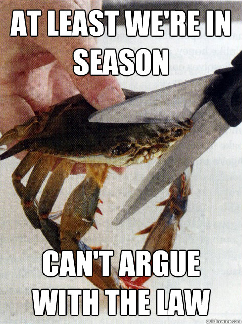 At least we're in season Can't argue with the law  Optimistic Crab