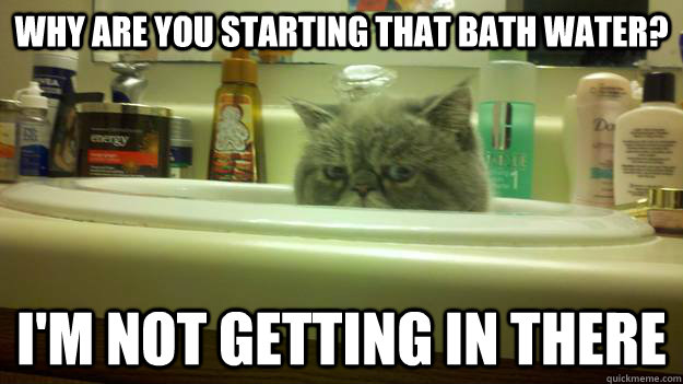 Why are you starting that bath water? I'm not getting in there  Sink Cat