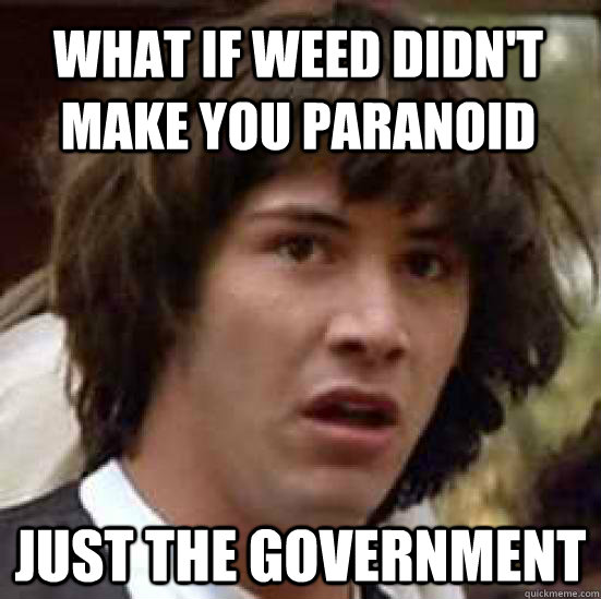 What if weed didn't make you paranoid Just the government  conspiracy keanu