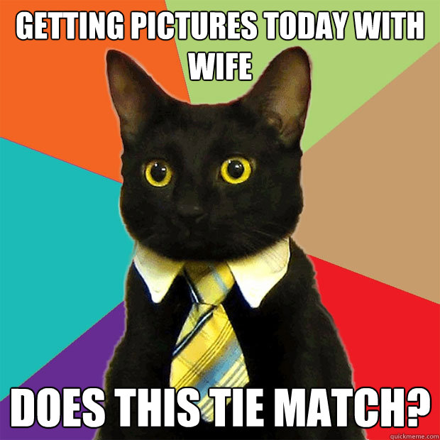 getting pictures today with wife does this tie match?  Business Cat