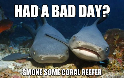 had a bad day? Smoke some coral reefer - had a bad day? Smoke some coral reefer  Compassionate Shark Friend