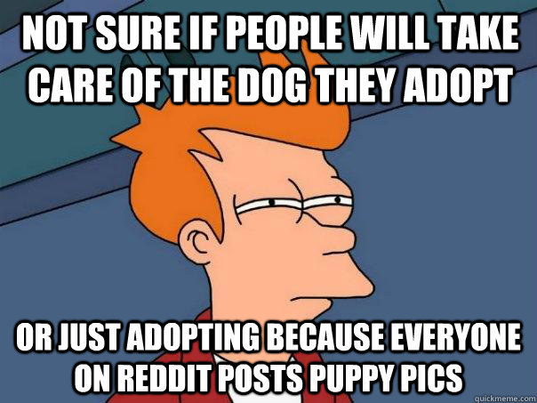 Not sure if people will take care of the dog they adopt Or just adopting because everyone on reddit posts puppy pics  Futurama Fry