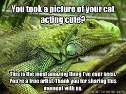 You took a picture of your cat acting cute? This is the most amazing thing I've ever seen. You're a true artist. Thank you for sharing this moment with us.  Irritated Iguana