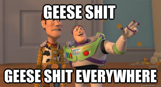 Geese Shit geese shit everywhere  Toy Story Everywhere