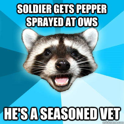 soldier gets pepper sprayed at OWS he's a seasoned vet  Lame Pun Coon