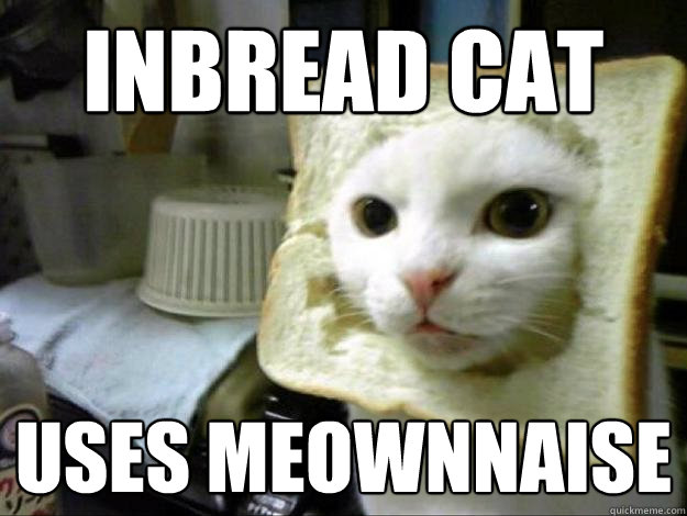 inbread cat uses meownnaise  - inbread cat uses meownnaise   Inbread cat