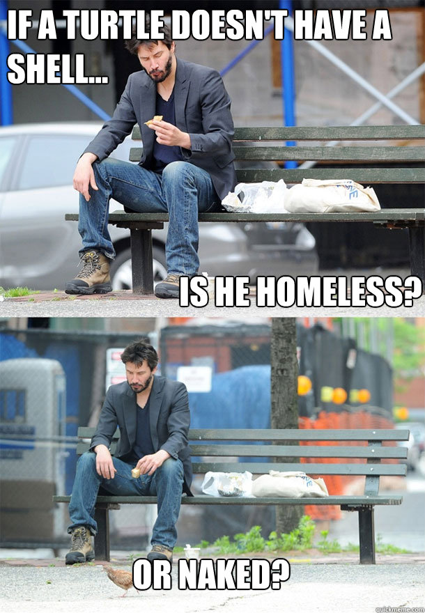 If a turtle doesn't have a shell...                                                                                             or naked? Is he homeless?  Sad Keanu