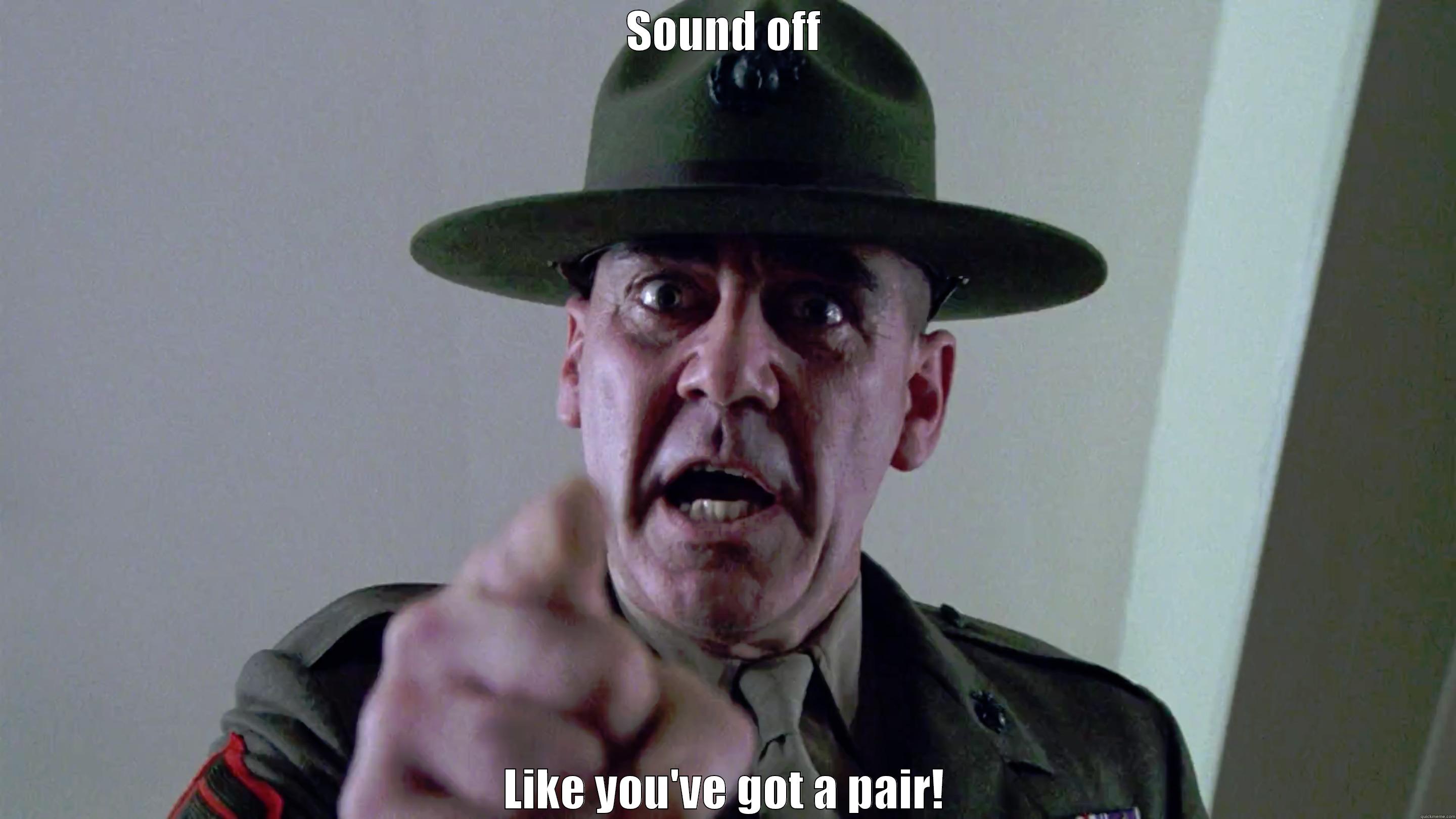 Sergeant Hartman - SOUND OFF LIKE YOU'VE GOT A PAIR! Misc