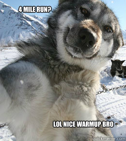4 mile run? lol nice warmup bro  husky never tired