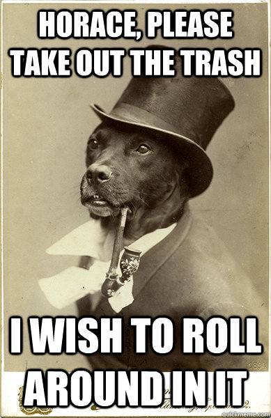 Horace, please take out the trash I wish to roll around in it - Horace, please take out the trash I wish to roll around in it  Old Money Dog