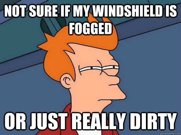 Not sure if my windshield is fogged Or just really dirty - Not sure if my windshield is fogged Or just really dirty  Futurama Fry