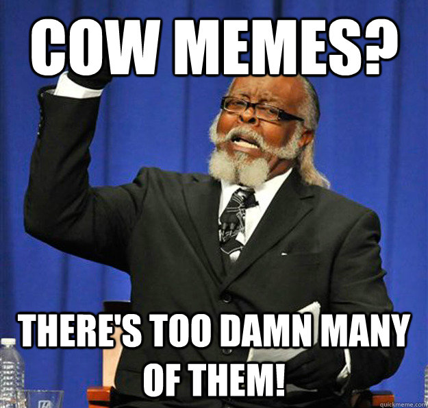 Cow Memes? There's too damn many of them! - Cow Memes? There's too damn many of them!  Jimmy McMillan