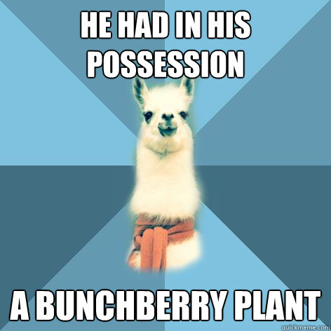 He had in his possession a bunchberry plant  Linguist Llama