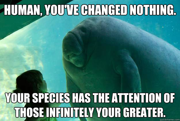 Human, you've changed nothing. Your species has the attention of those infinitely your greater. - Human, you've changed nothing. Your species has the attention of those infinitely your greater.  Overlord Manatee