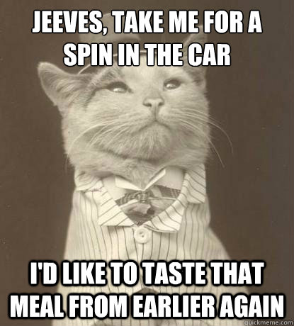 Jeeves, take me for a spin in the car I'd like to taste that meal from earlier again  Aristocat