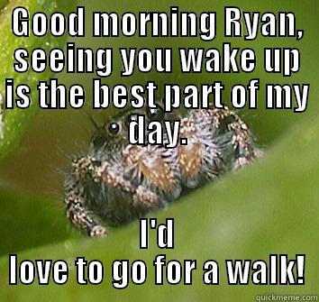 GOOD MORNING RYAN, SEEING YOU WAKE UP IS THE BEST PART OF MY DAY. I'D LOVE TO GO FOR A WALK! Misunderstood Spider