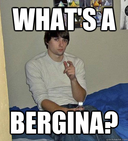 What's a  bergina? - What's a  bergina?  Steve Steve