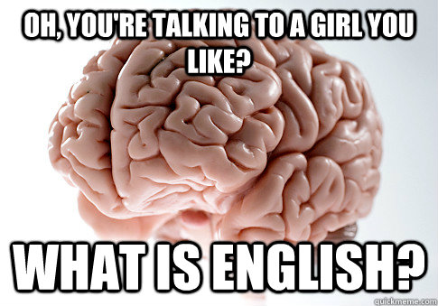 oh, you're talking to a girl you like? what is ENglish?  Scumbag Brain