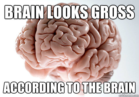 brain looks gross according to the brain  Scumbag Brain