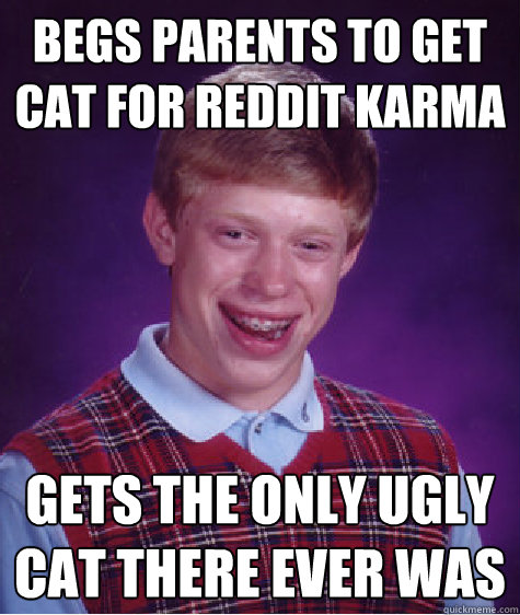 begs parents to get cat for reddit karma Gets the only ugly cat there ever was  Bad Luck Brian